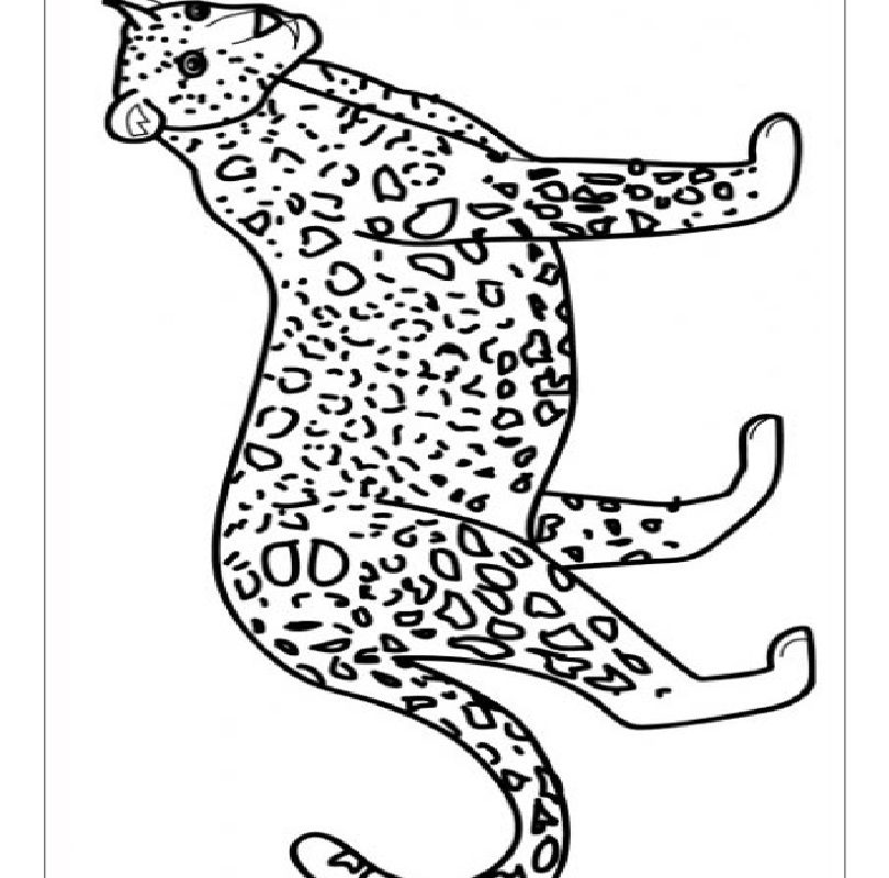 Quarterback Coloring Pages at GetColorings.com | Free printable