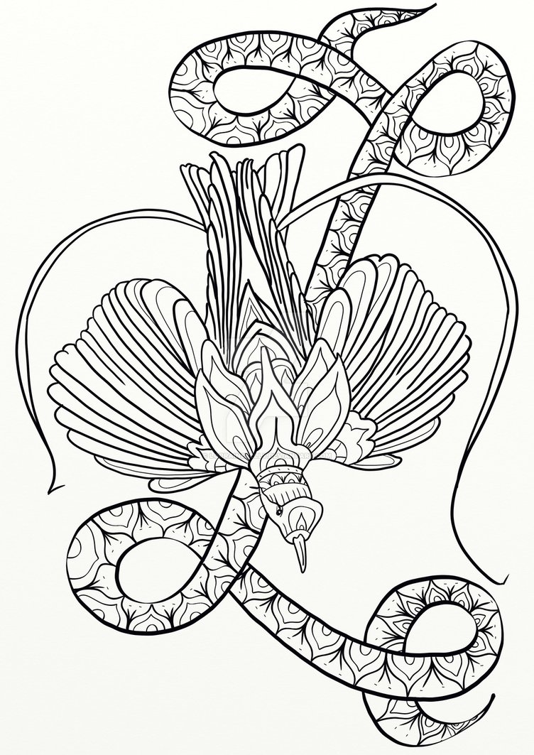 Quetzal Coloring Page at GetColorings.com | Free printable colorings