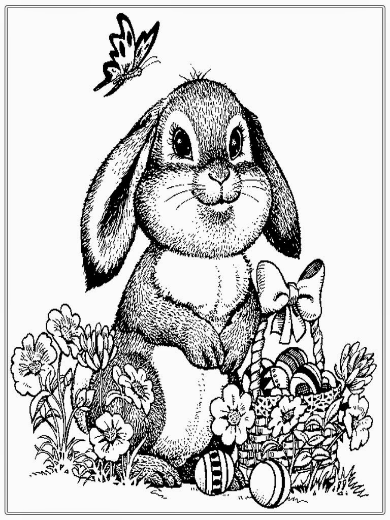 Rabbit Coloring Pages For Adults at GetColorings.com | Free printable