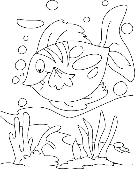 Rainbow Fish Coloring Page at GetColorings.com | Free ...
