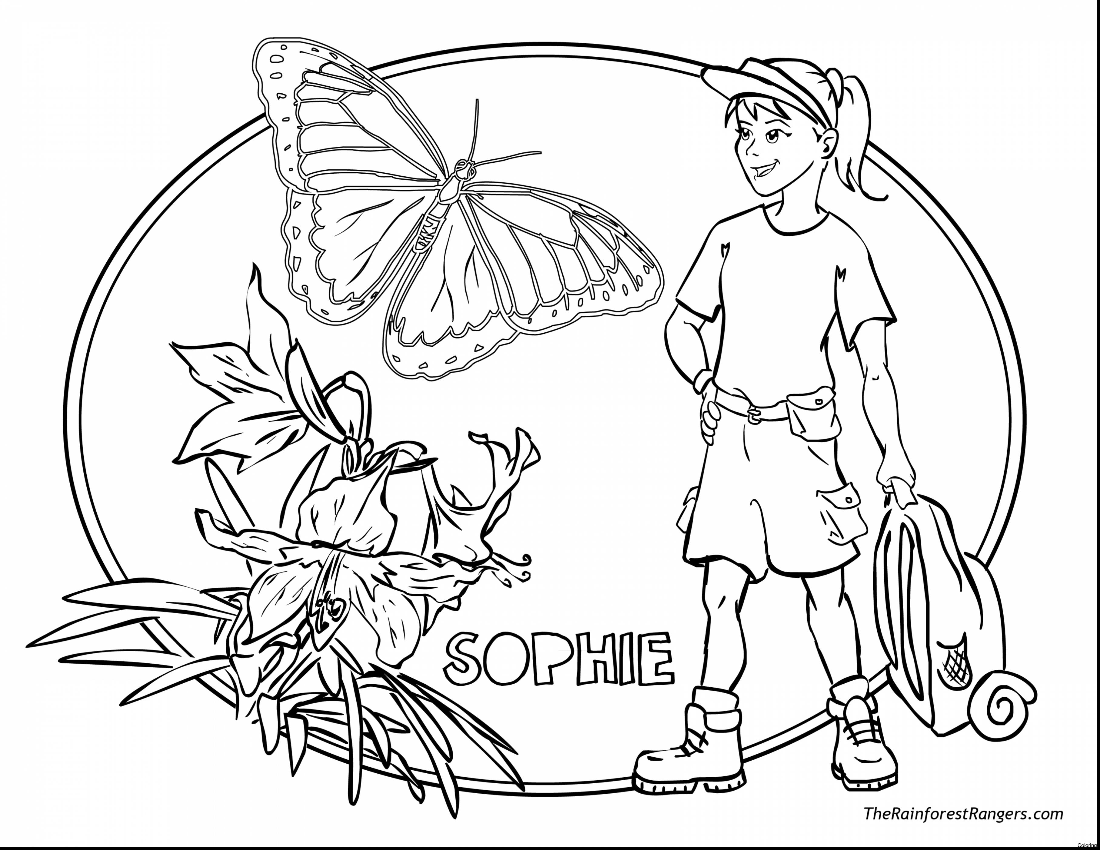 Rainforest Animals Coloring Pages at GetColorings.com | Free printable