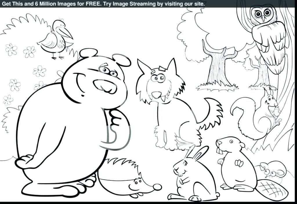 Rainforest Coloring Pages at GetColorings.com | Free printable