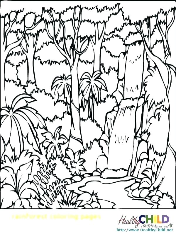 Rainforest Trees Coloring Pages at GetColorings.com   Free ...