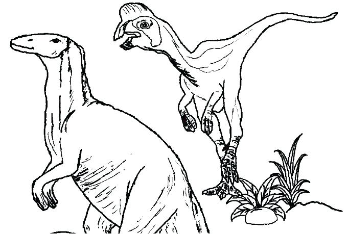 Raptor Dinosaur Coloring Pages at GetColorings.com | Free printable