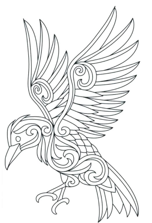 Raven Coloring Pages at GetColorings.com | Free printable colorings
