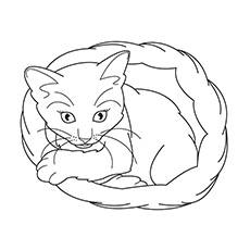 Real Cat Coloring Pages at GetColorings.com | Free printable colorings