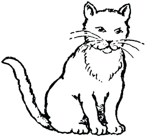 Real Cat Coloring Pages at GetColorings.com | Free printable colorings