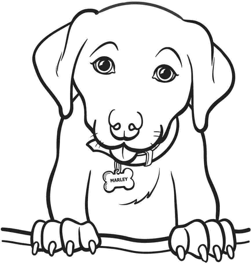 Real Dog Coloring Pages at GetColoringscom Free