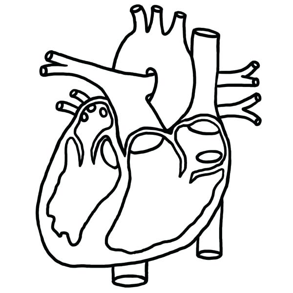 Real Heart Coloring Pages at GetColorings.com | Free ...