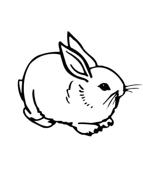 Realistic Bunny Coloring Pages at GetColorings.com | Free printable