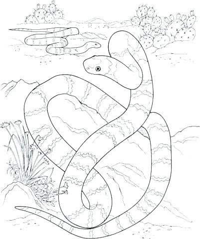 Search results for Realistic coloring pages on GetColorings.com | Free