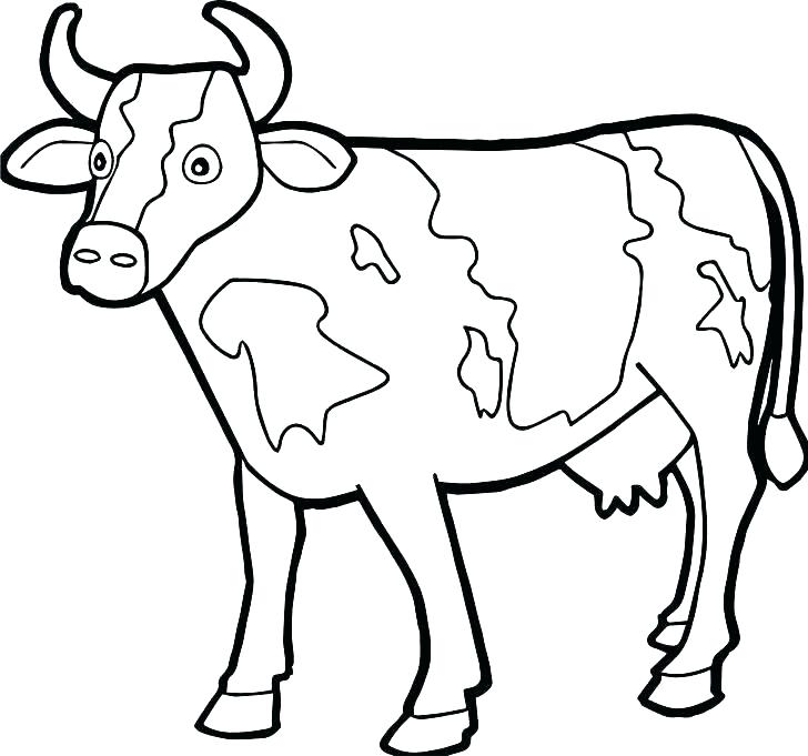 Realistic Cow Coloring Pages at GetColorings.com | Free printable