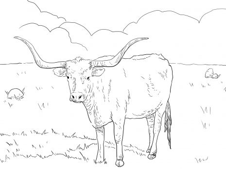 Realistic Cow Coloring Pages at GetColorings.com | Free printable