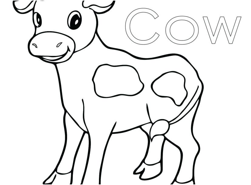 Realistic Cow Coloring Pages / Cattle clipart realistic, Cattle