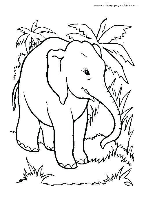 Realistic Elephant Coloring Pages At GetColorings Com Free Printable Colorings Pages To Print