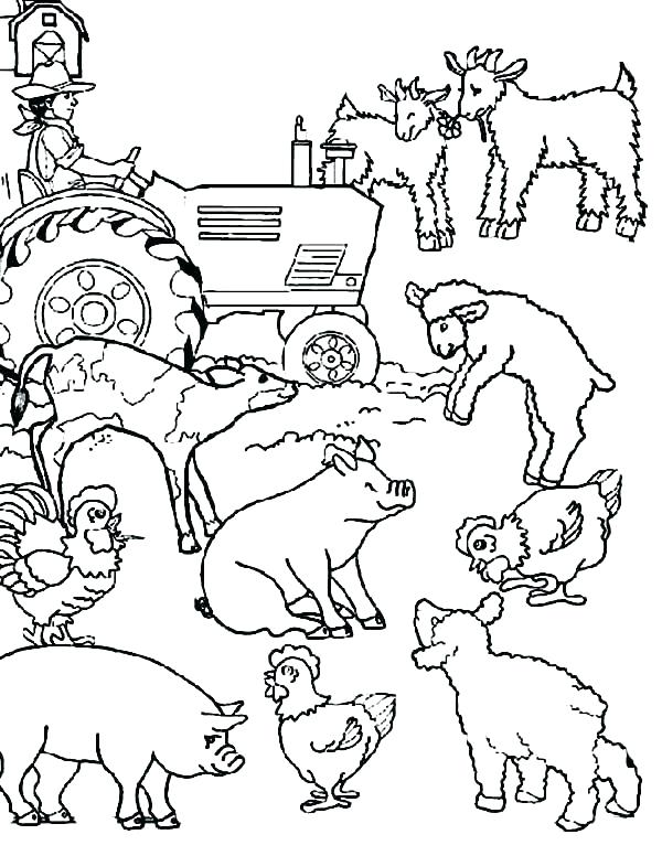 Realistic Farm Animal Coloring Pages At GetColorings Free 