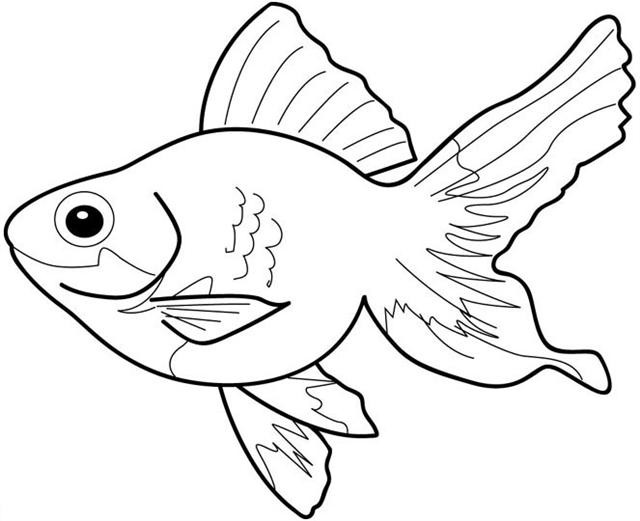  Realistic Fish Coloring Pages with simple drawing