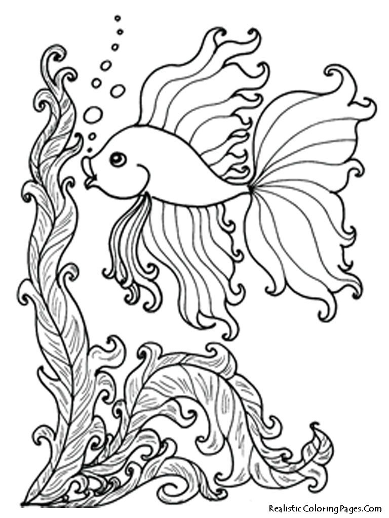 Realistic Fish Coloring Pages at GetColorings.com | Free printable