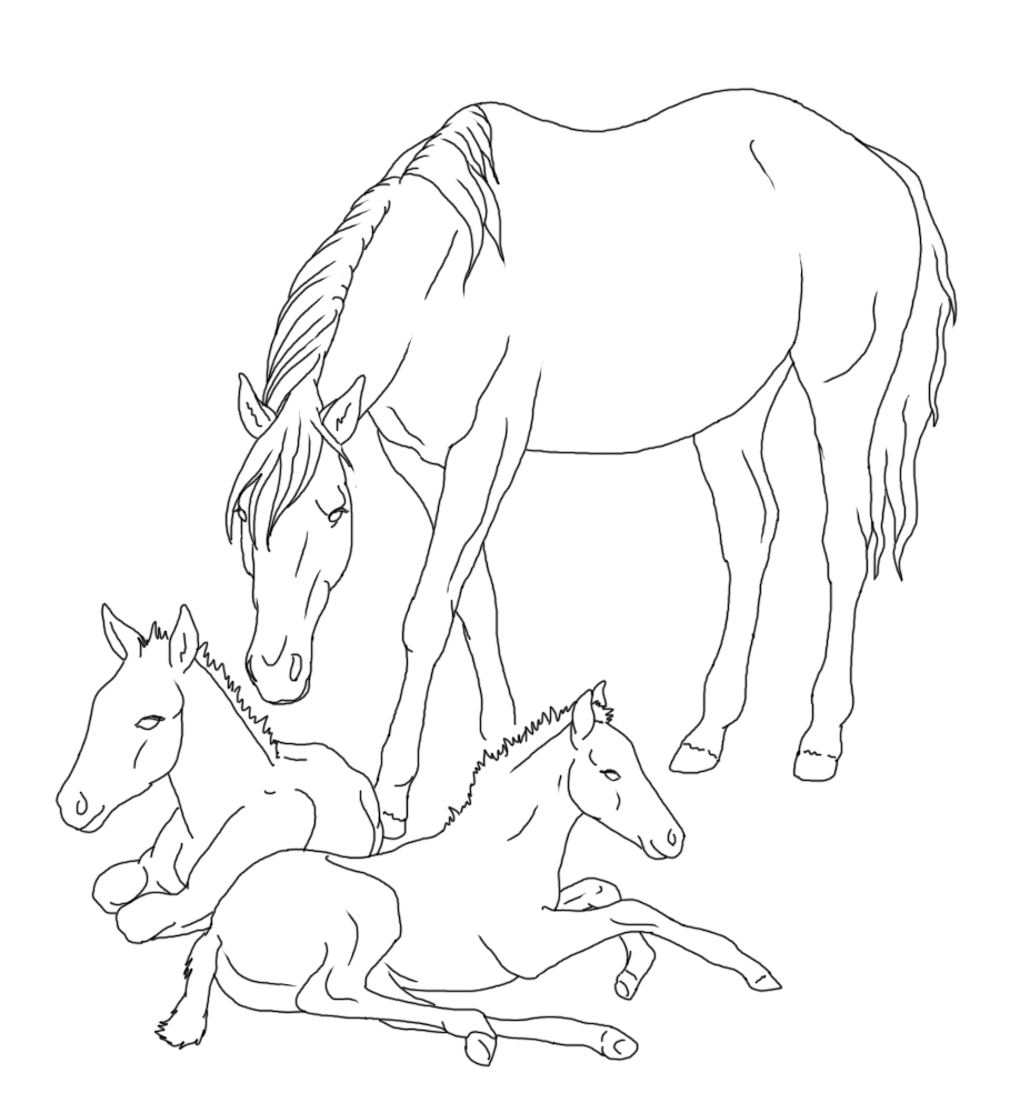 Realistic Horse Coloring Pages at GetColorings.com | Free printable