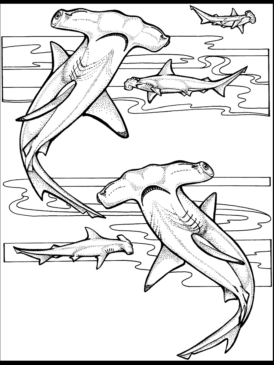 Realistic Ocean Coloring Pages at GetColorings.com | Free printable