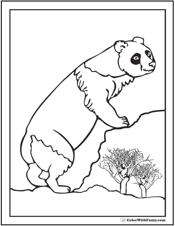 Realistic Panda Coloring Pages at GetColorings.com | Free printable