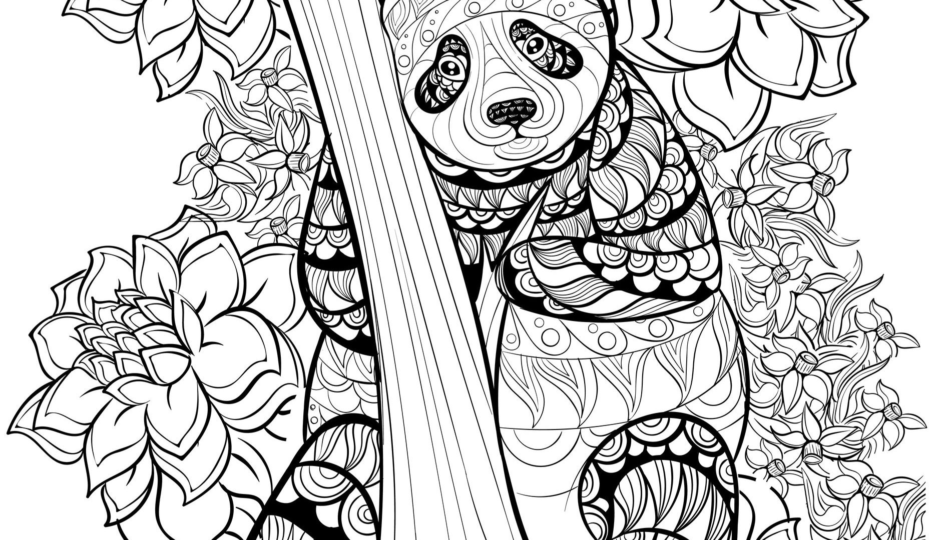 Realistic Panda Coloring Pages at GetColorings.com | Free printable