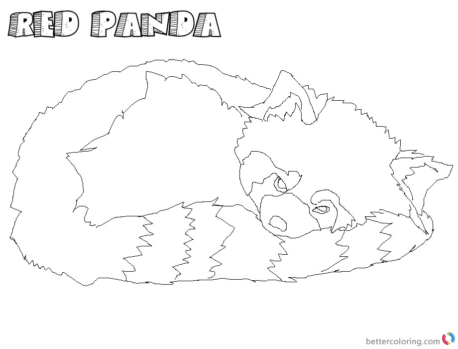 Realistic Panda Coloring Pages at GetColorings.com | Free printable