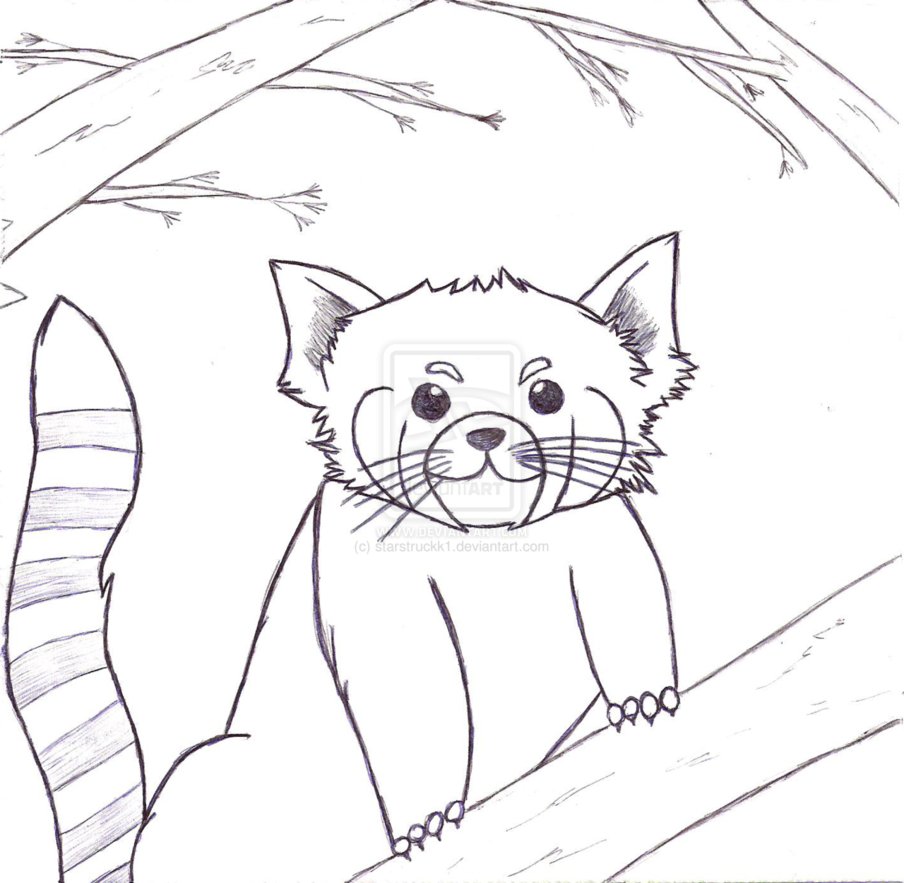 Realistic Panda Coloring Pages at GetColorings.com | Free ...