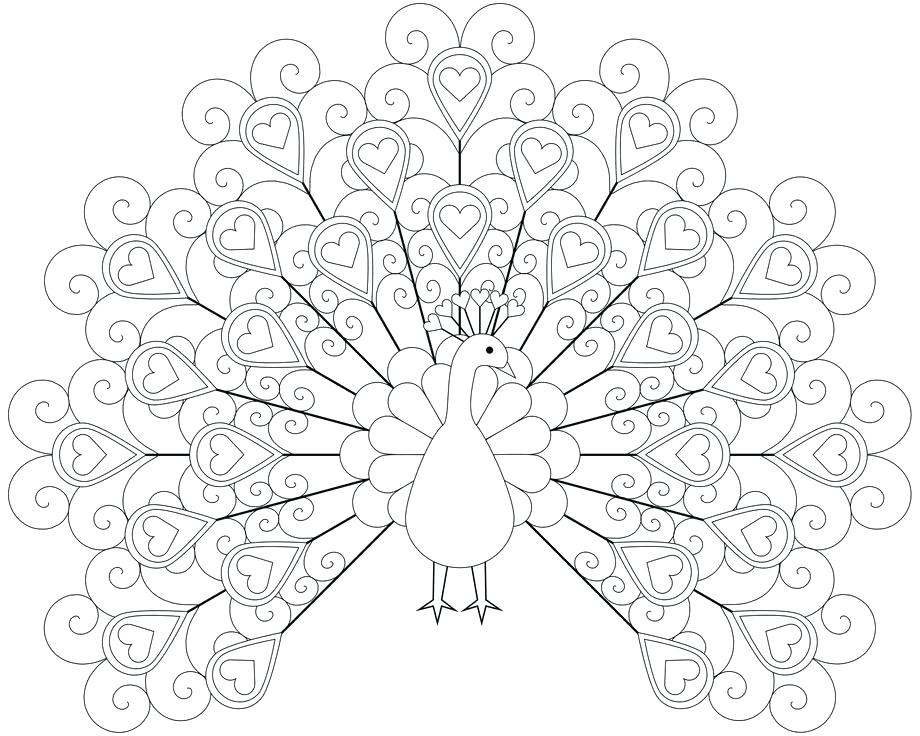 Realistic Peacock Coloring Pages at GetColorings.com | Free printable