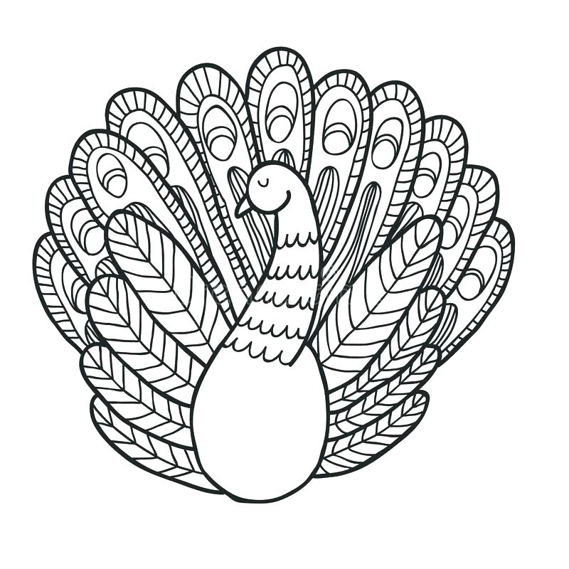 Realistic Peacock Coloring Pages at GetColorings.com | Free printable