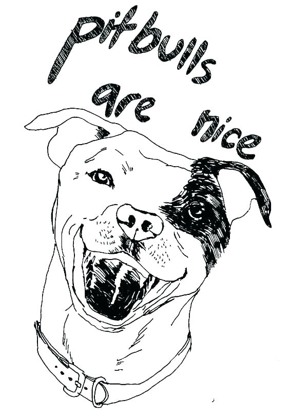 Realistic Pitbull Coloring Pages at GetColorings.com | Free printable