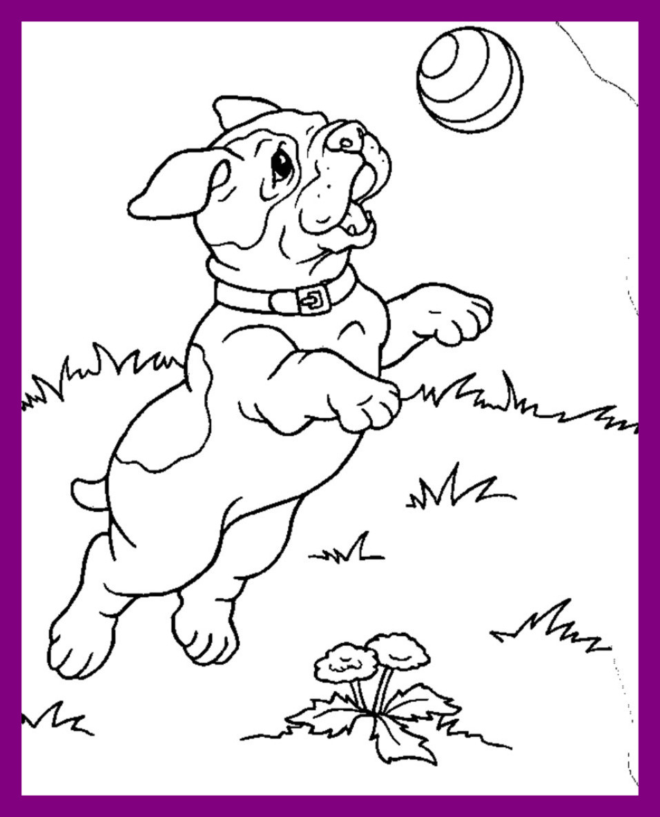 Realistic Puppy Coloring Pages At GetColorings Free Printable 