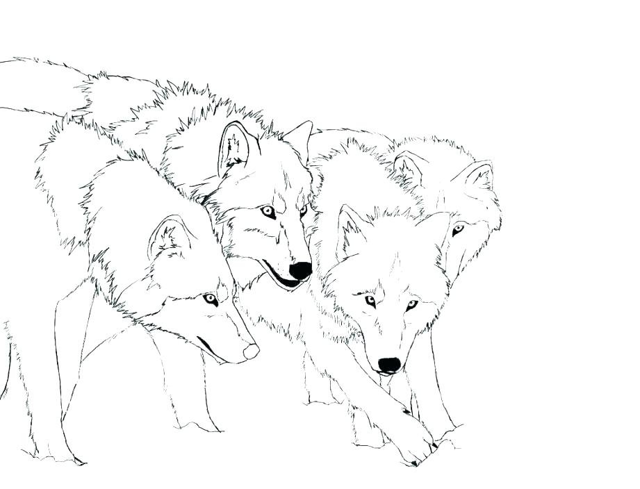 Realistic Puppy Coloring Pages at GetColorings.com | Free printable