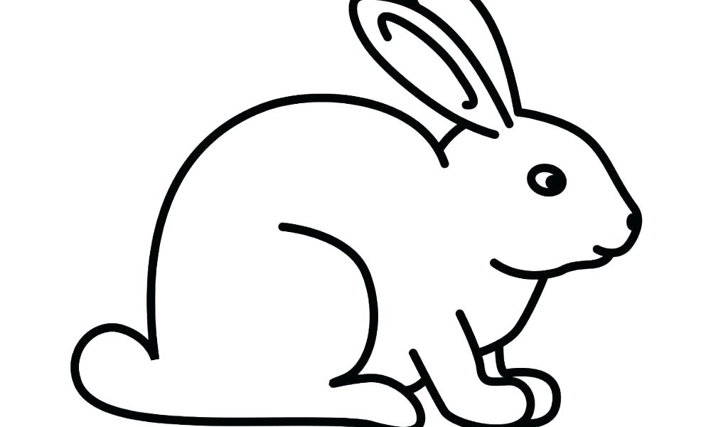 Realistic Rabbit Coloring Pages at GetColorings.com | Free printable