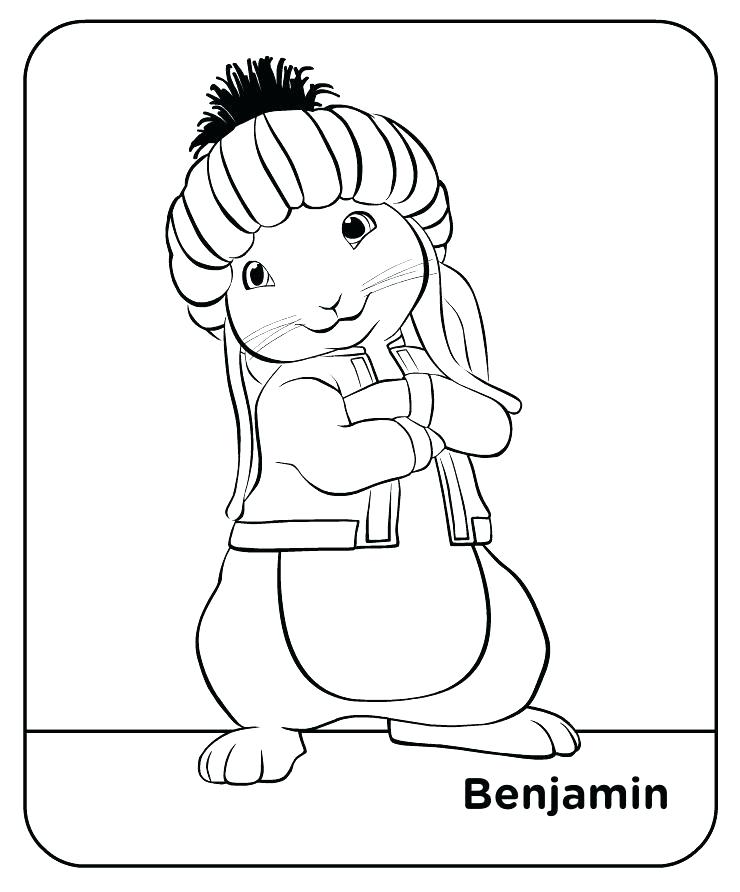 Realistic Rabbit Coloring Pages at GetColorings.com | Free printable