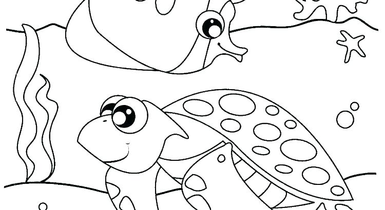 48+ Realistic Ocean Animals Coloring Pages Images - COLORIST