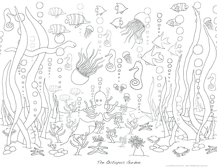 Realistic Sea Life Coloring Pages at GetColorings.com | Free printable