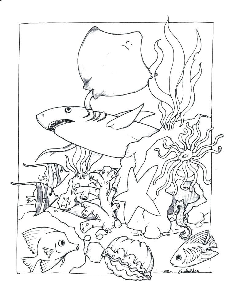 Realistic Sea Life Coloring Pages At Free Printable