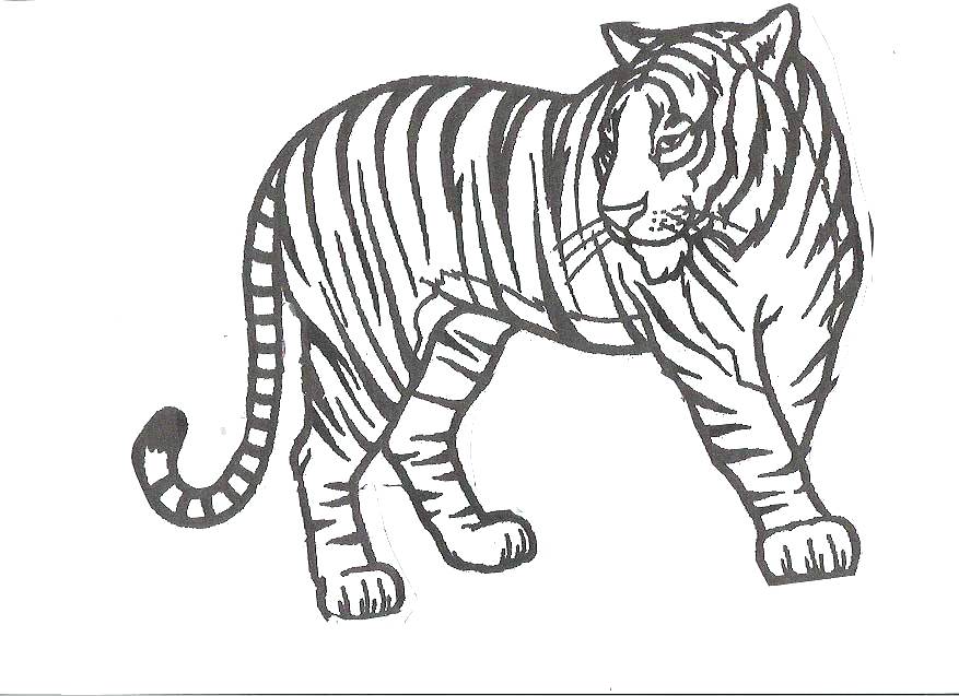 Realistic Tiger Coloring Pages at GetColorings.com | Free ...