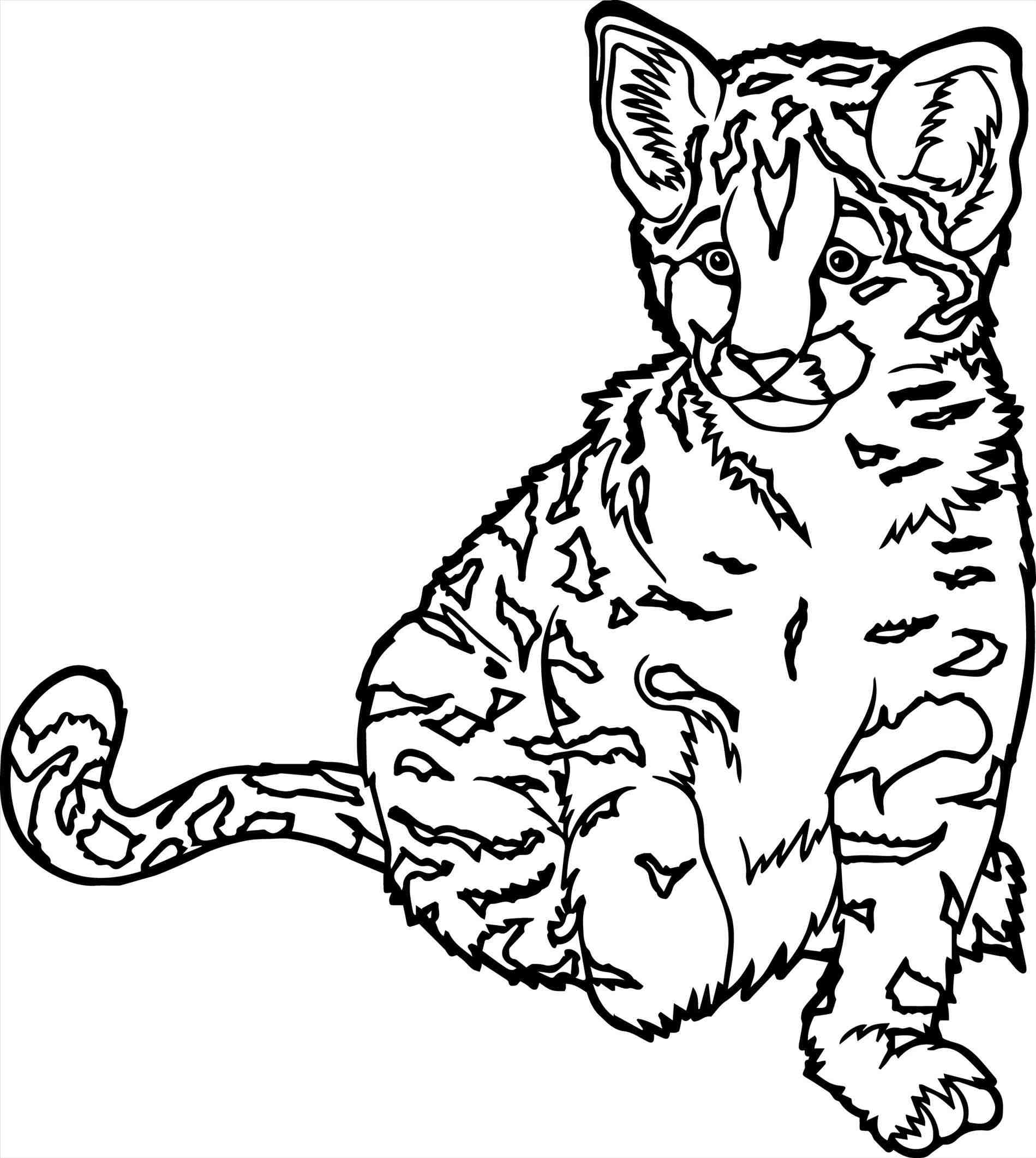 Realistic Wild Animal Coloring Pages at Free