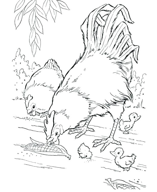 Realistic Wild Animal Coloring Pages at GetColorings.com | Free