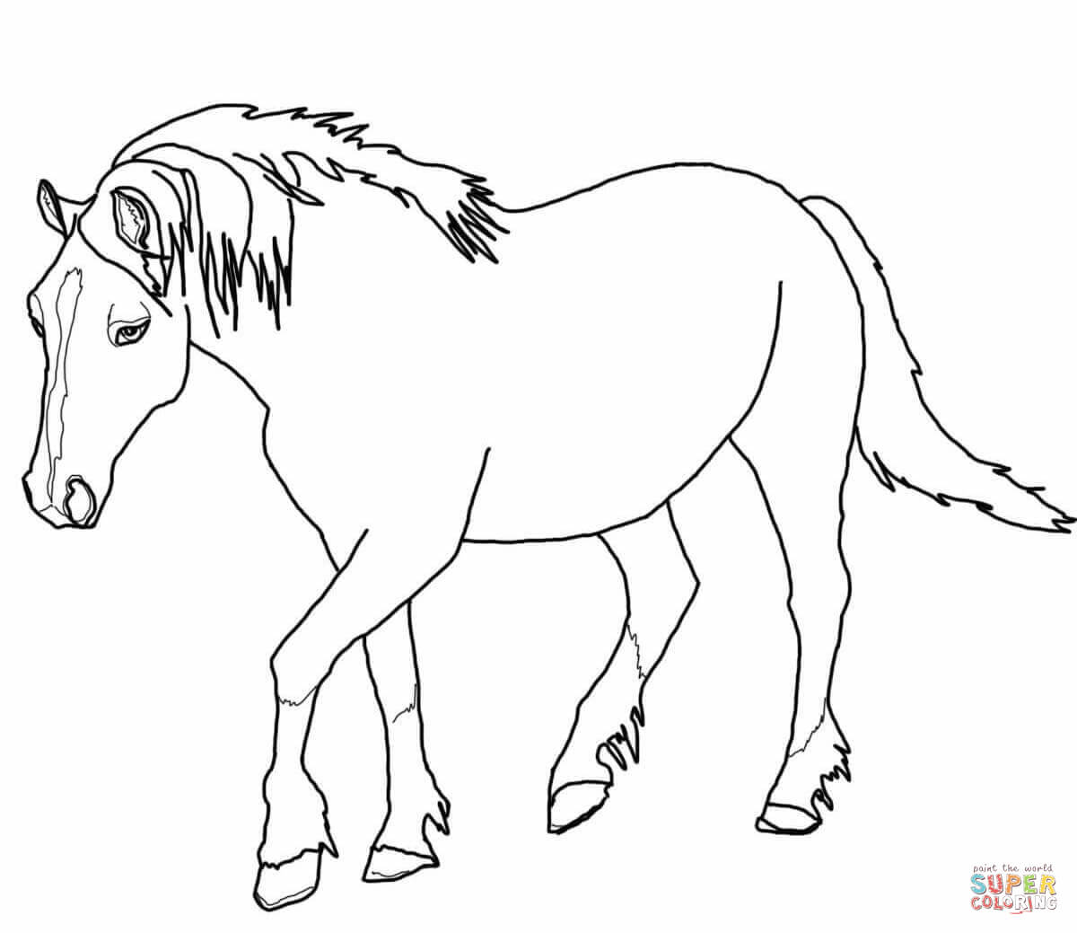 Rearing Horse Coloring Pages at Free printable