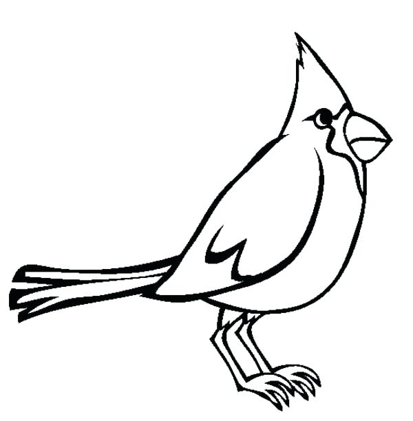 Red Bird Coloring Page at GetColorings.com | Free printable colorings