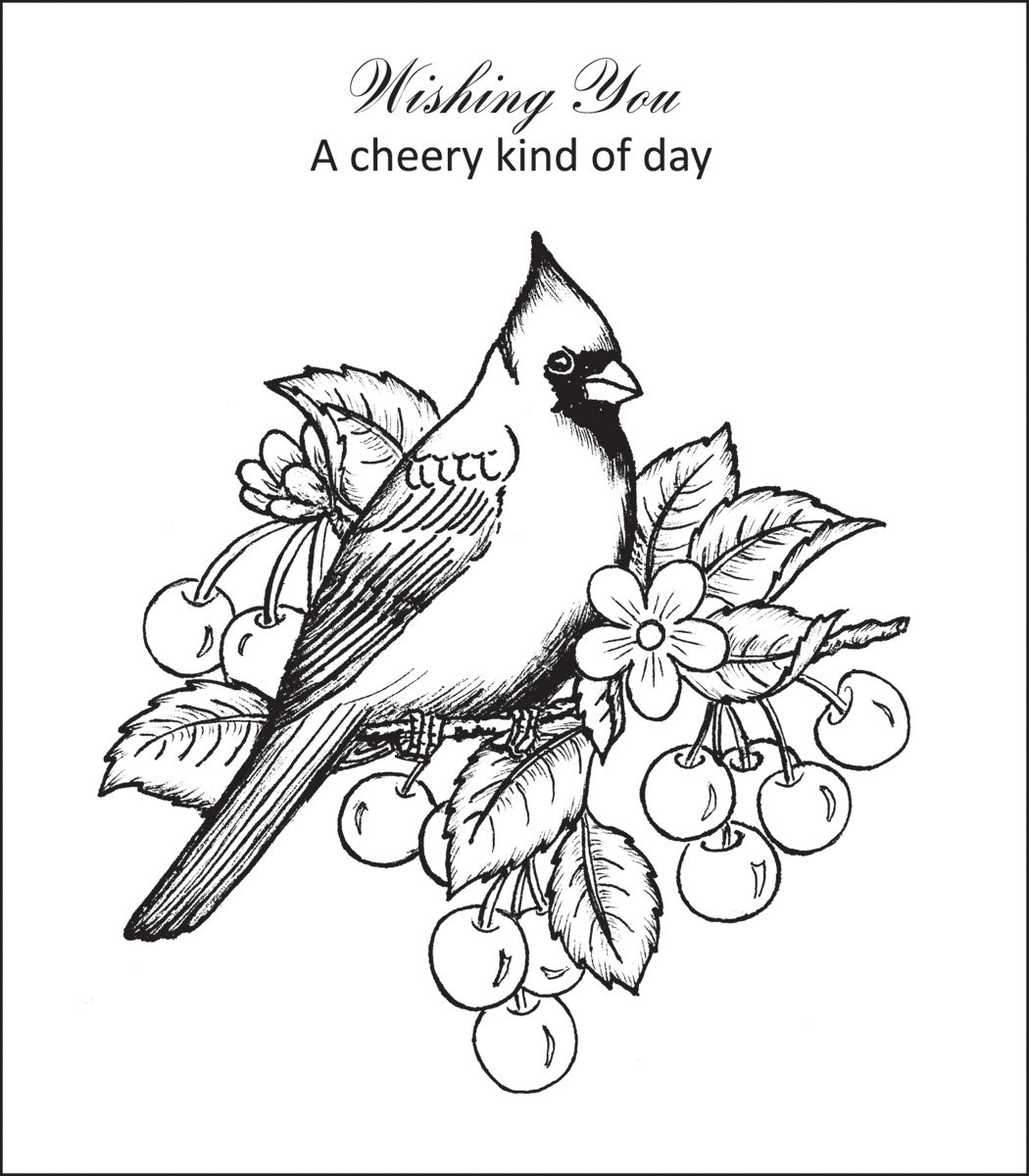 Red Cardinal Coloring Page at Free printable