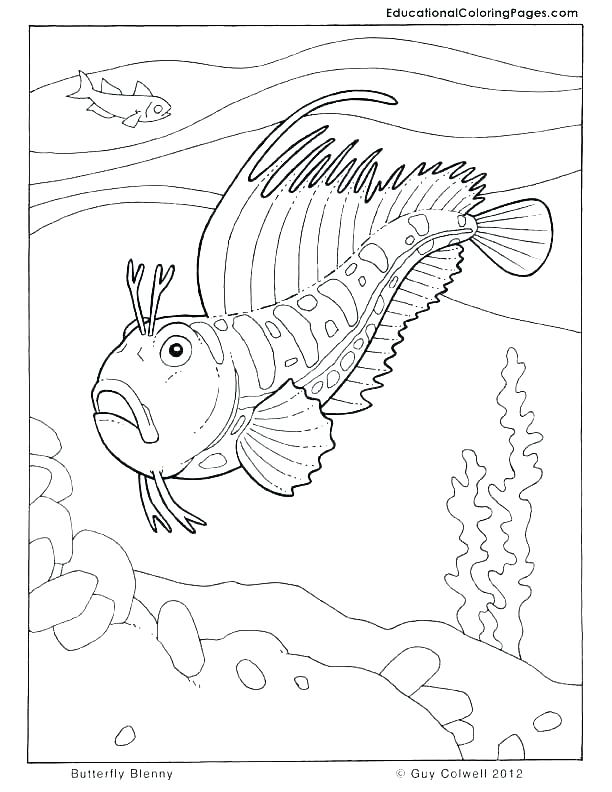 Red Fish Blue Fish Coloring Pages at GetColorings.com ...