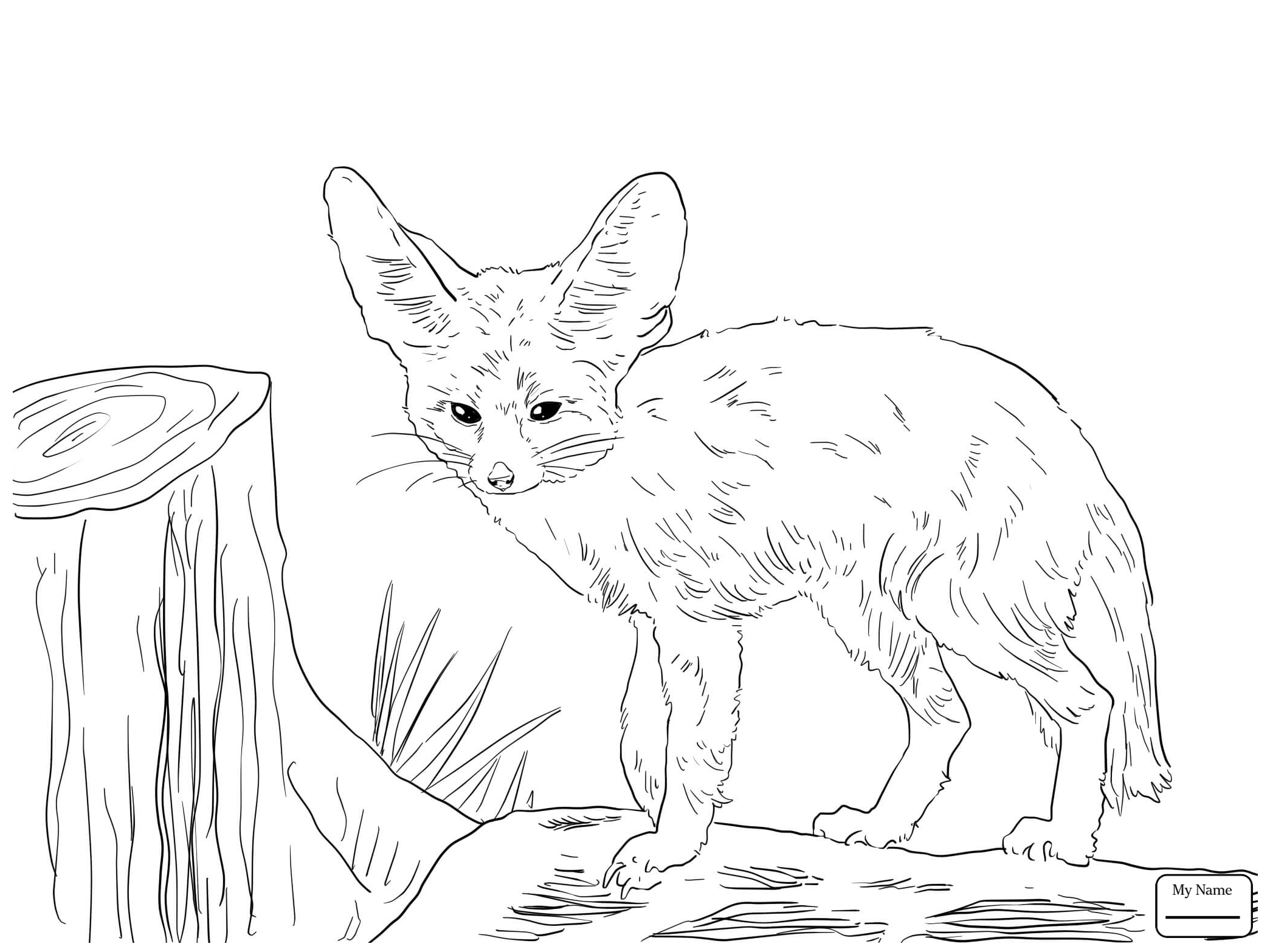 Red Fox Coloring Page at Free printable colorings