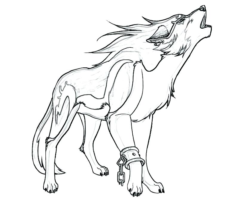 Red Wolf Coloring Pages at GetColorings.com | Free printable colorings