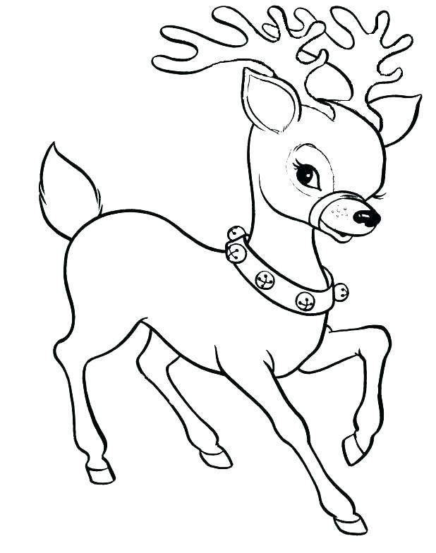 Reindeer Head Coloring Pages at GetColoringscom Free