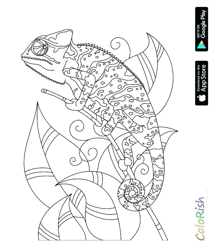 reptile-coloring-pages-at-getcolorings-free-printable-colorings