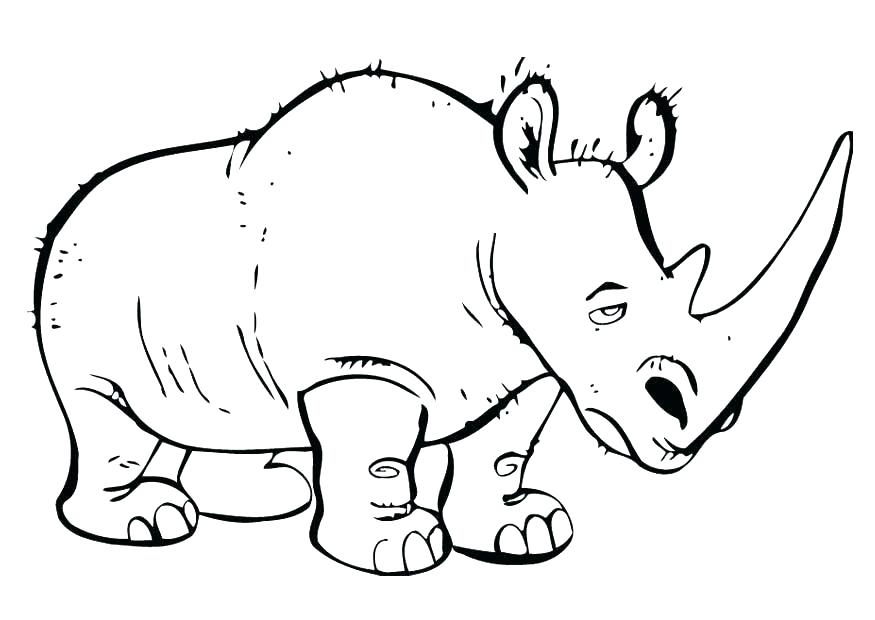 Rhinoceros Coloring Pages at GetColorings.com | Free printable